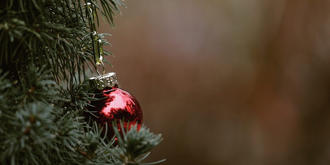 polvero-josele-feliz-navidad
