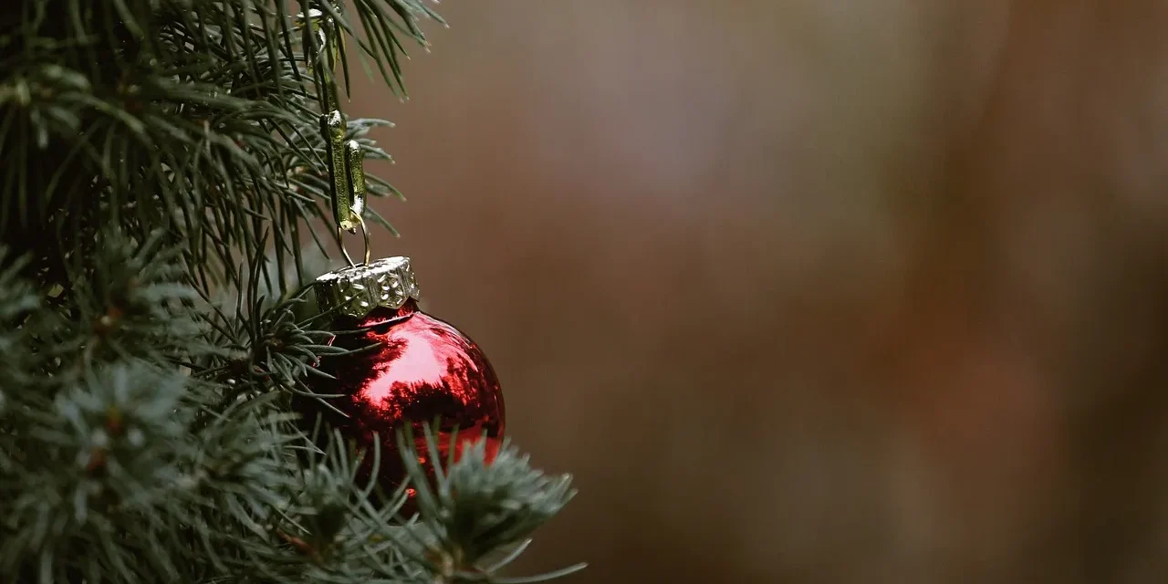 polvero-josele-feliz-navidad